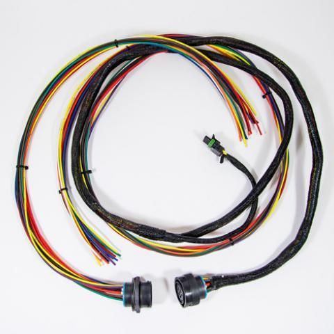 Two black multi-pin wiring harnesses with multicolored wires coiled on a white background