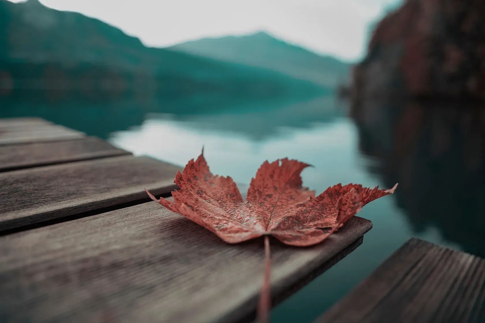 A red maple leaf is sitting on a wooden dock next to a lake.