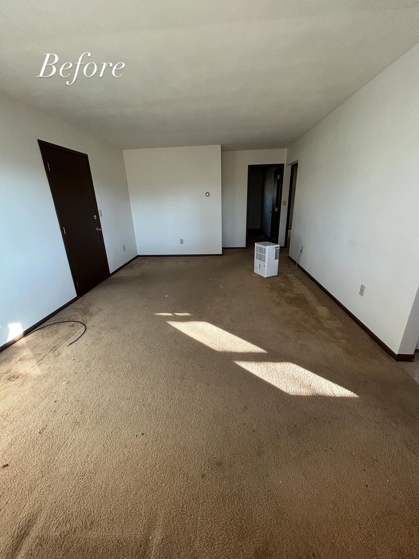 Empty room with worn, brown carpet, white walls, and dark brown doors. Sunlight streams across the floor.