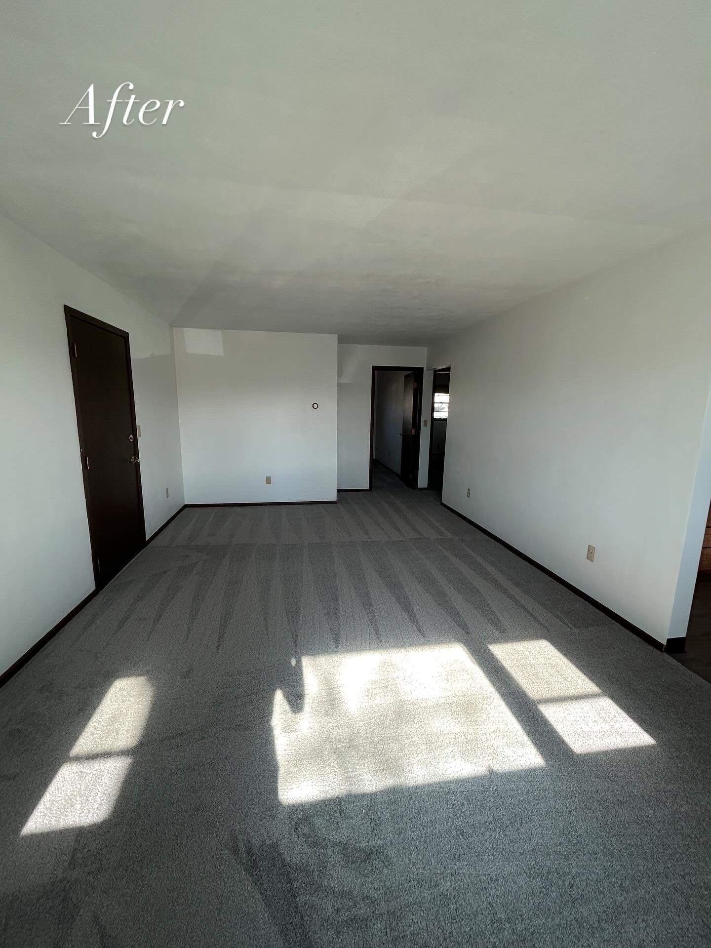 Empty living room with gray carpet, white walls, and dark brown doors; 