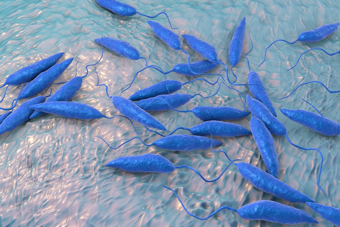 Batteri blu a forma di bastoncello con code a forma di frusta, sparsi su una superficie strutturata di colore azzurro chiaro.