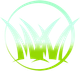 Grass