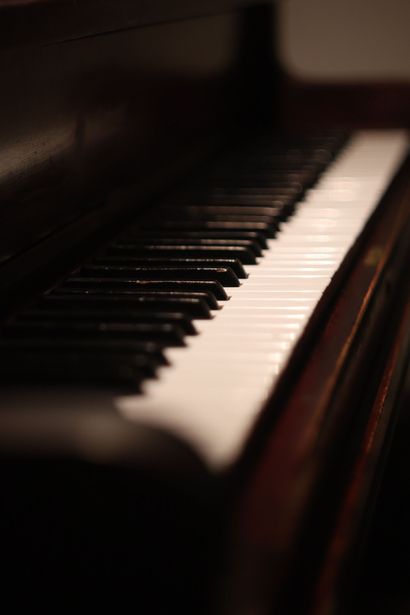 Close-up of piano keys in warm, low light, with a softly blurred background