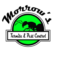 Morrow's Termite and Pest Control Morrow's Termite and Pest Control