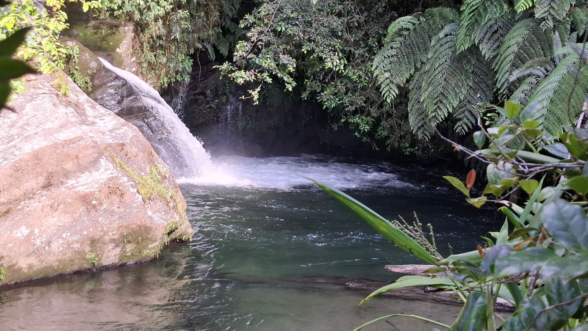 A water hole on the Kokoda trail in Papua New Guinea