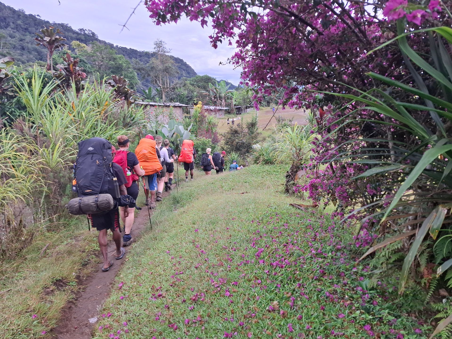 A group of trekkers on the Kokoda trail  in Papua New Guinea downhill on bush track