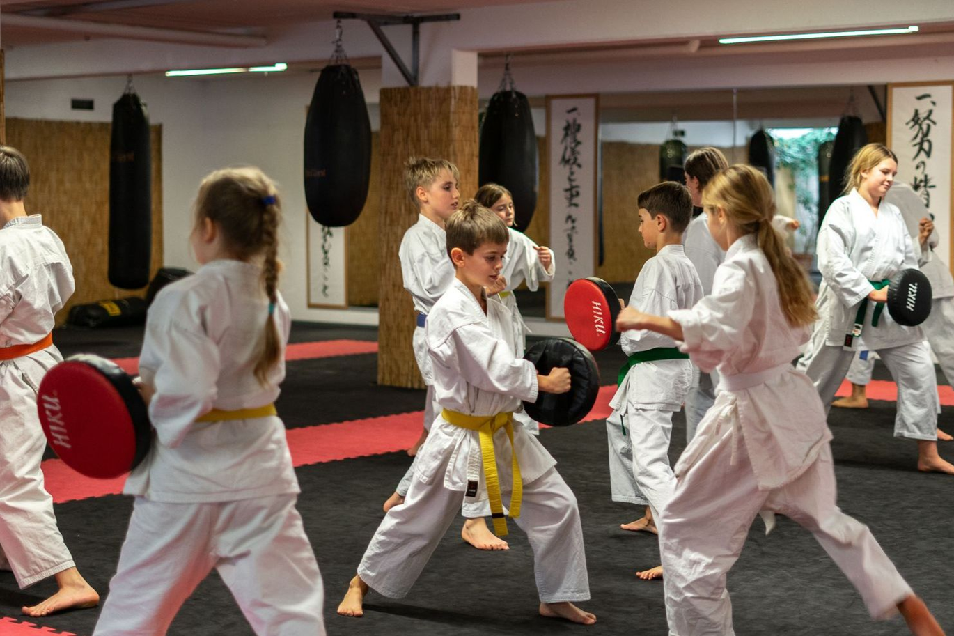 Roundhousekick Kinder auf Schlagpolster.