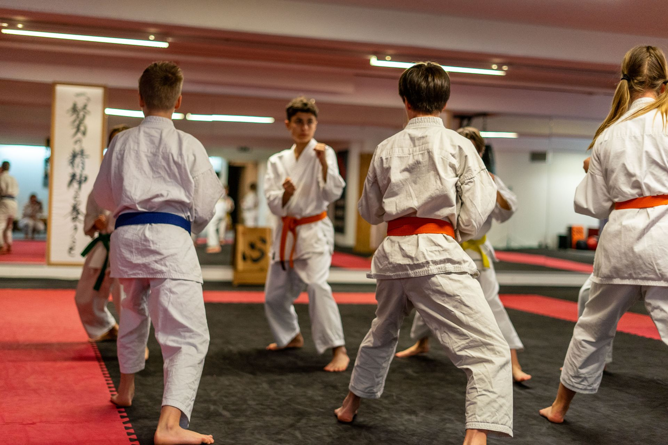 Karateka in Kamaehaltung