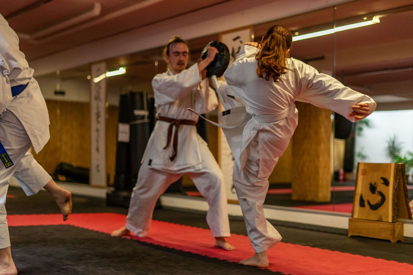 Pratzentraining Junge Frau macht Roundhousekick