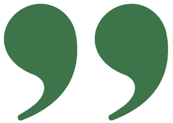 Green quotation marks for customer reviews.
