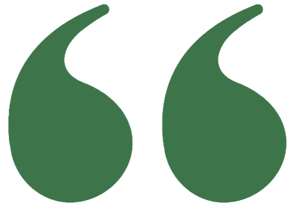 Green quotation marks for customer reviews.