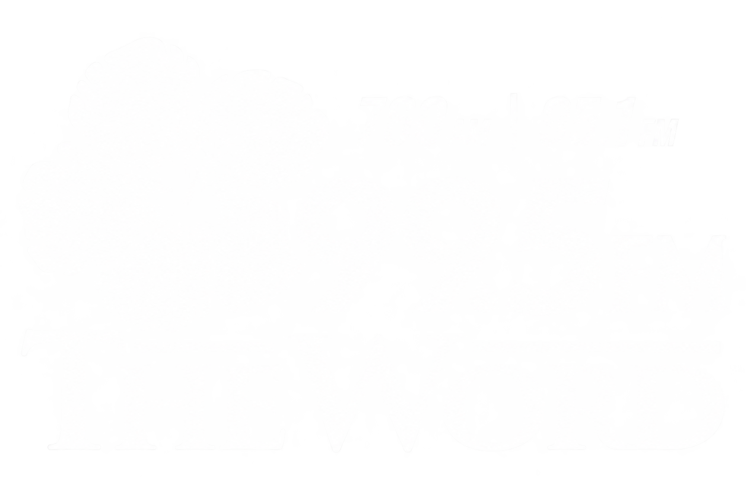Logo for 99.5 FM The Word with red hibiscus and blue text, showing 760 AM and 95.1 FM