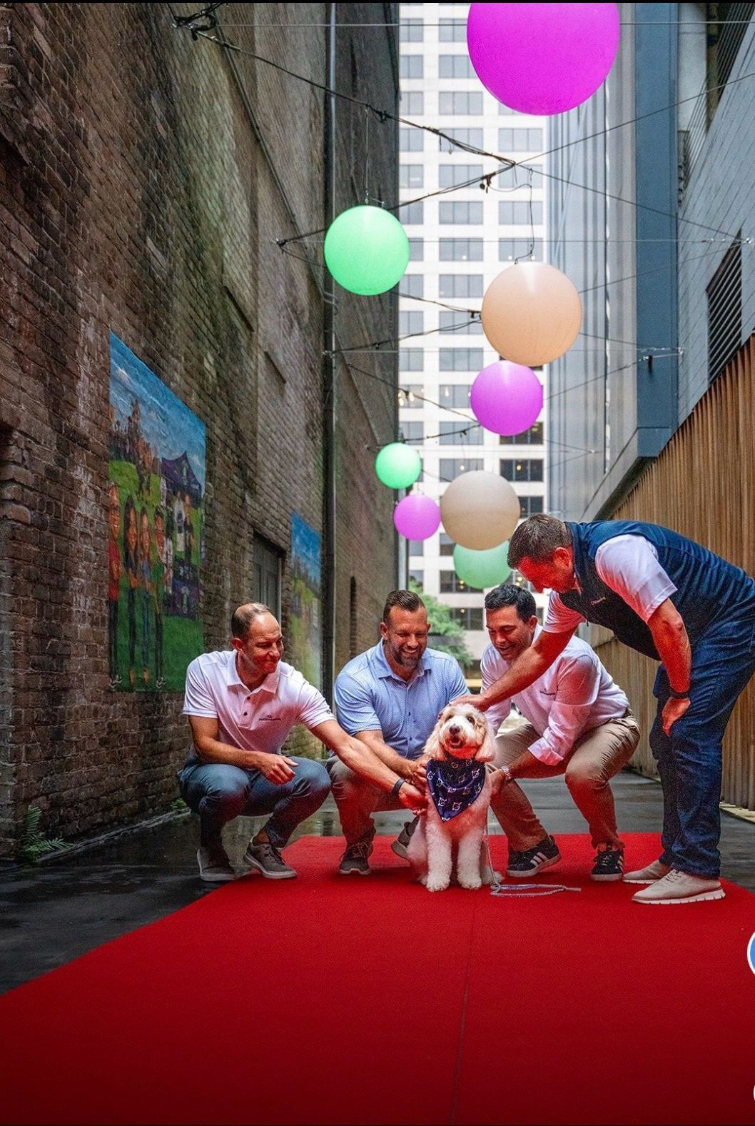 People crouch on a red carpet with a baby, under colorful balloons in a narrow city alley.