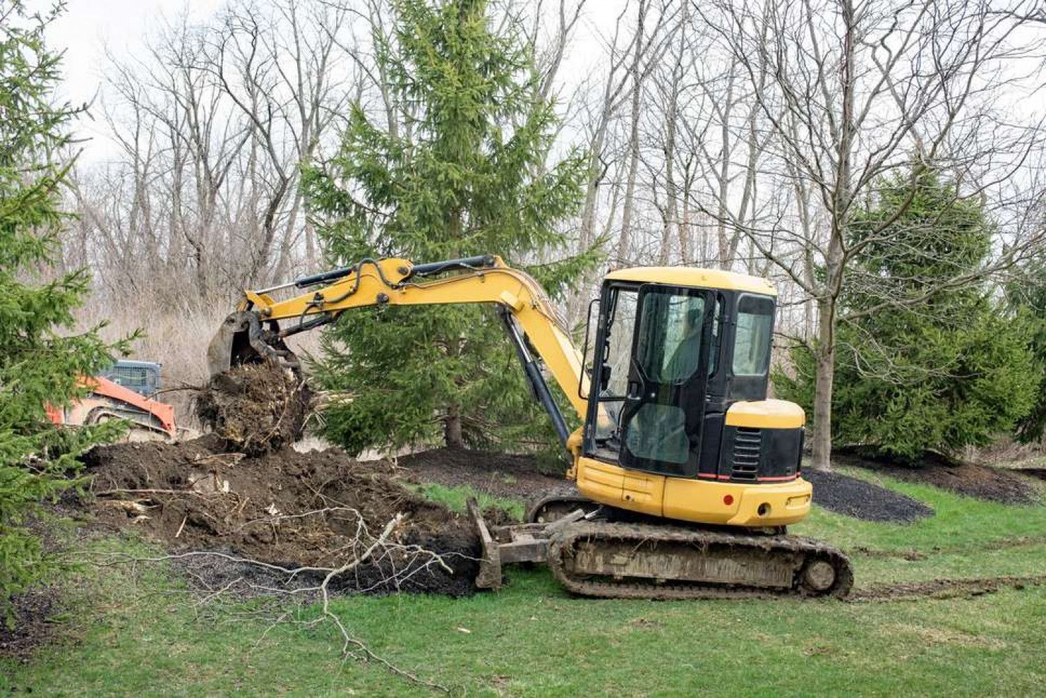 Tree Being Removed from Site