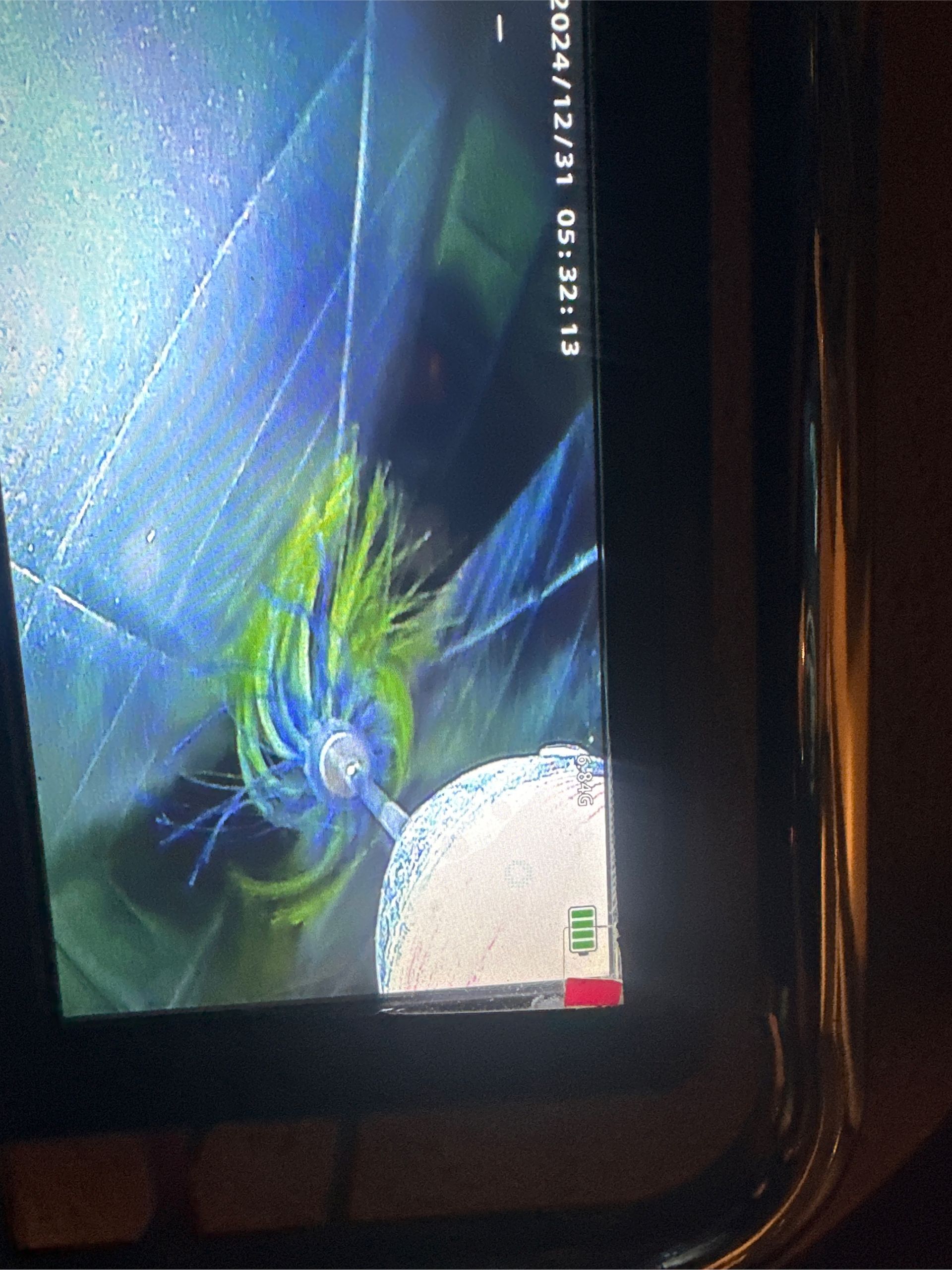 A close up of a computer screen with a bug on it