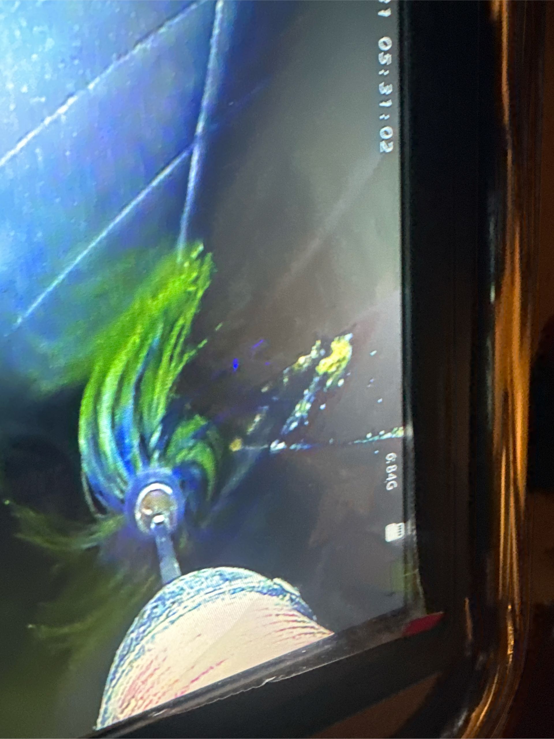 A close up of a screen of a tablet with a green and blue object on it