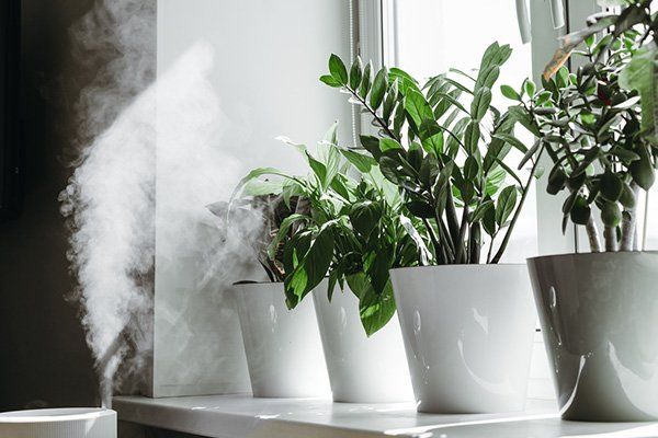 A humidifier is spraying water on potted plants on a window sill.