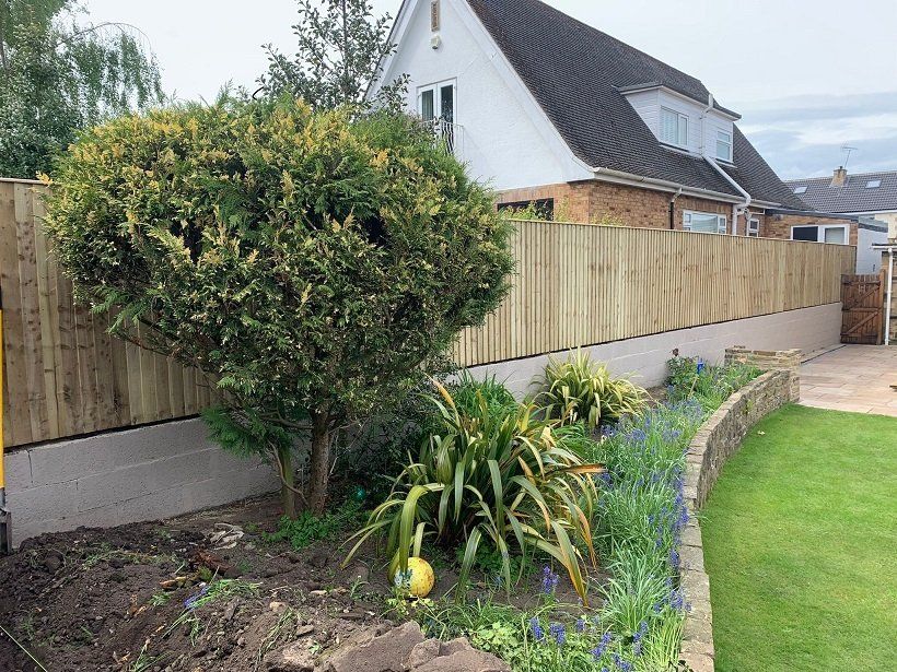 Tanalised featheredge fencing