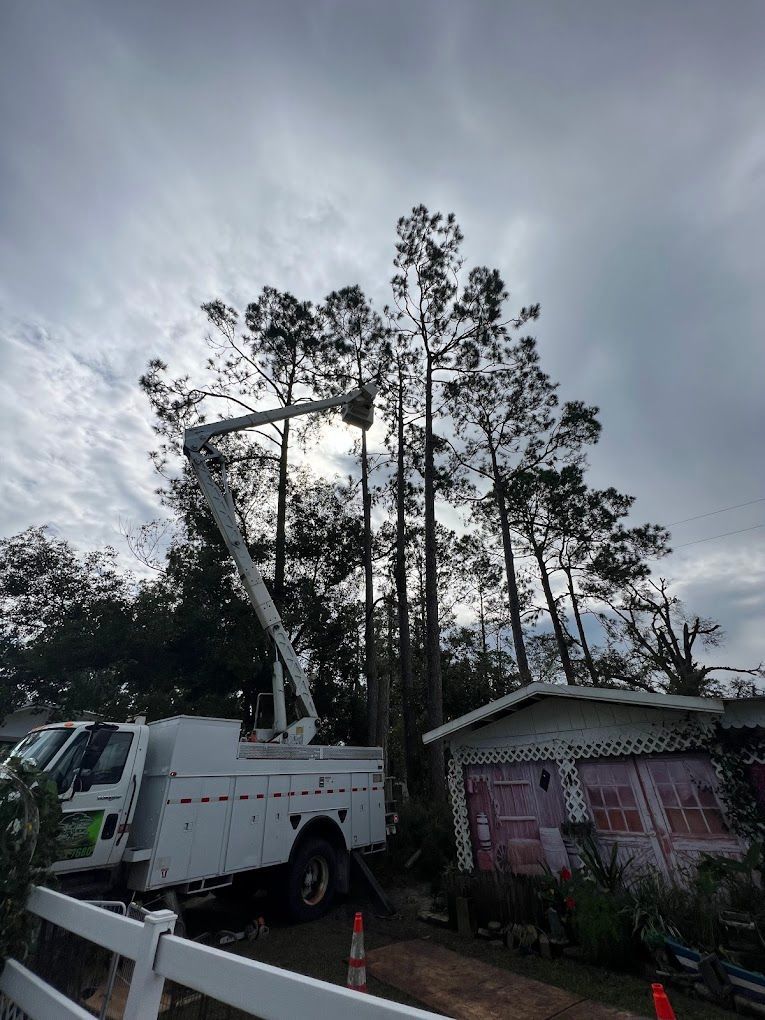 Tree service truck with lift trimming tall trees near a shed on a cloudy day.