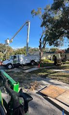Tree trimming service with a truck-mounted lift trimming a tall tree in front of a house on a sunny day.