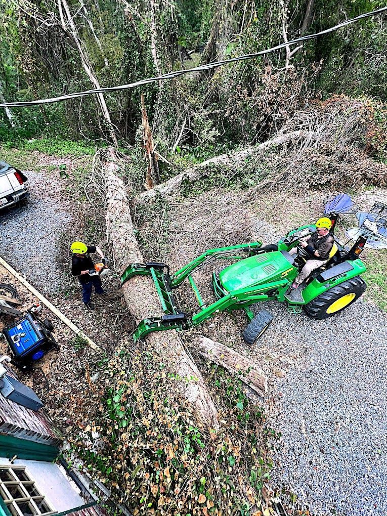 A person operates a green tractor while another stands next to a fallen tree, clearing debris near a house.