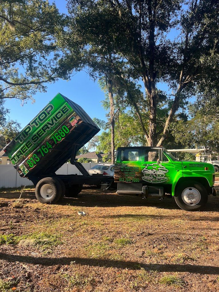Green Tip Top Tree Service dump truck with bed raised, parked outside on brown field.