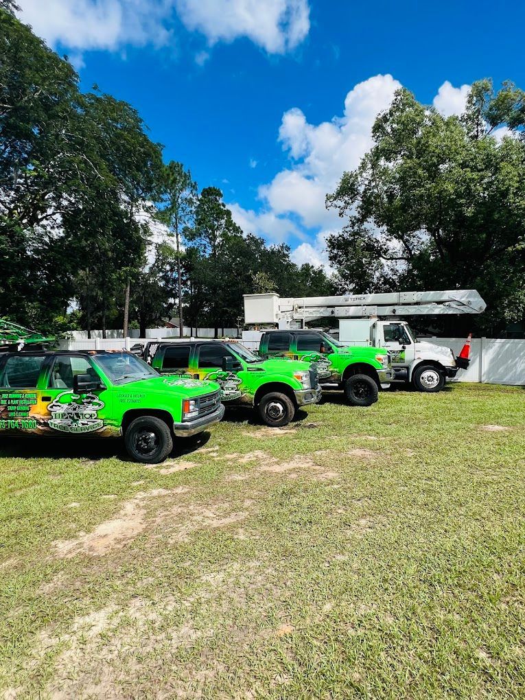 Green work trucks parked on a grassy lot under a bright blue sky with trees.