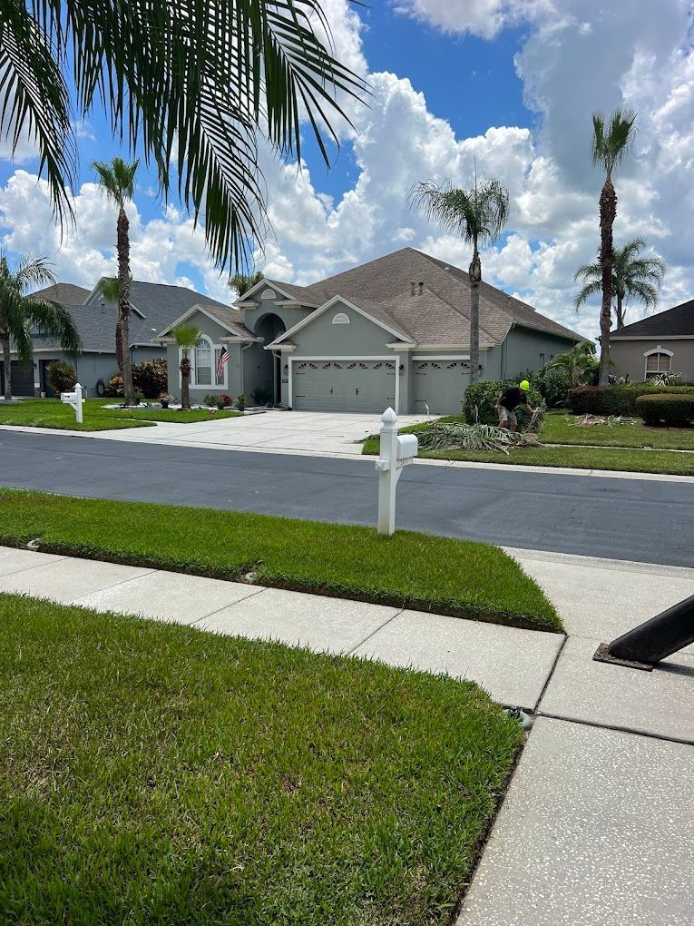 Suburban houses on a street with green lawns, palm trees, and a blue sky with fluffy clouds.