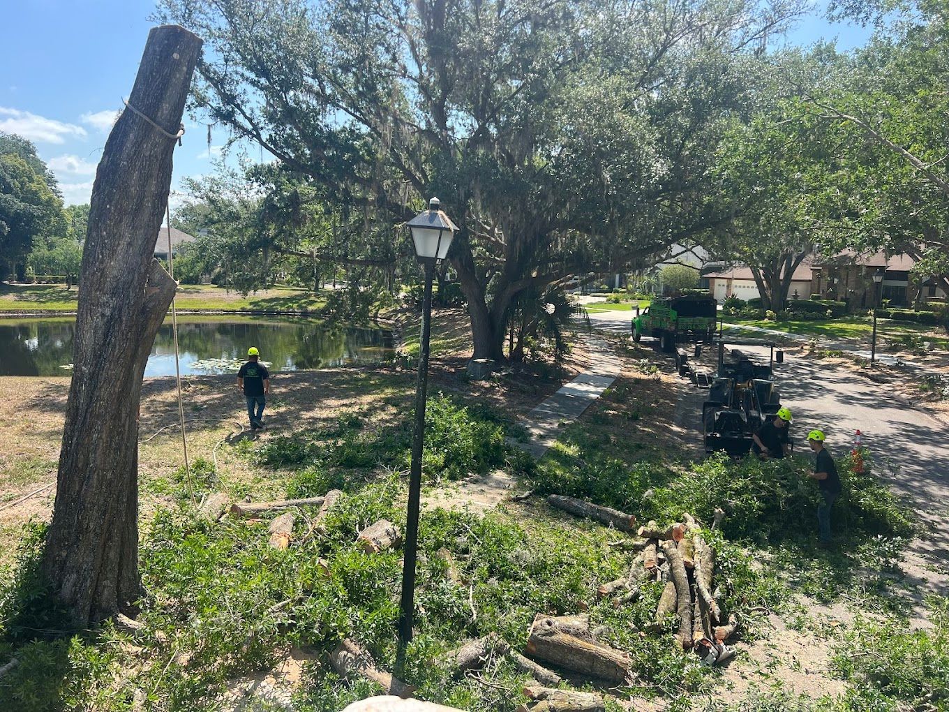 Man working, partially cut tree near lake and yard with debris. Sunny day.
