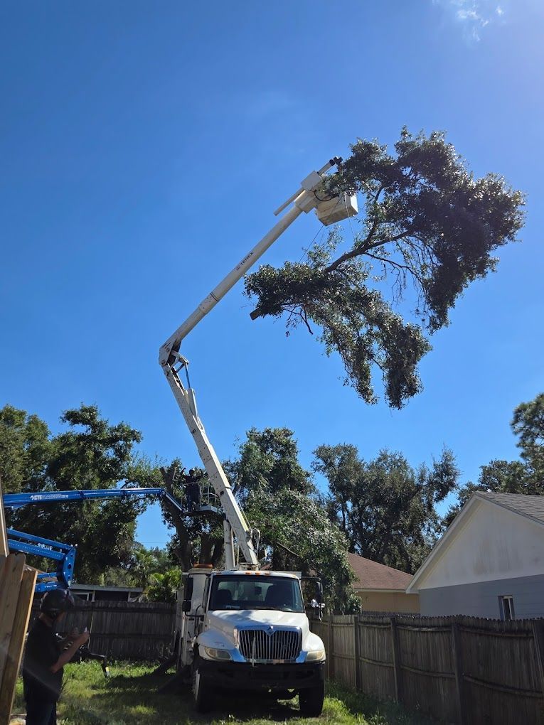 Truck with extended arm pruning tree branches under a blue sky.
