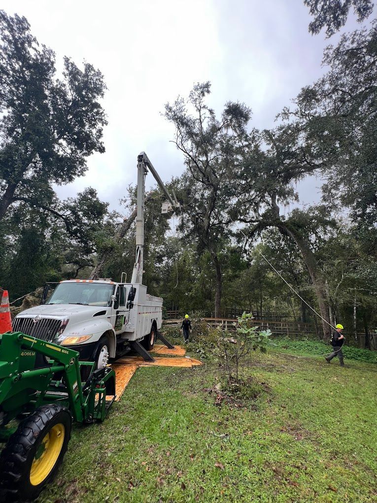 Tree trimming crew using a truck with a lift. One worker on the ground, another in the bucket, cloudy day.