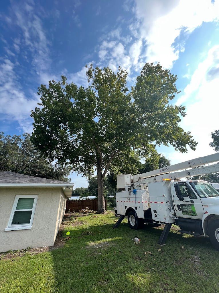 Tree trimming truck next to a house under a blue sky.