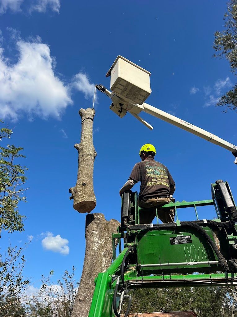 Arborist in lift cutting tree trunk against a blue sky with clouds. Green equipment, brown trunk, yellow helmet.