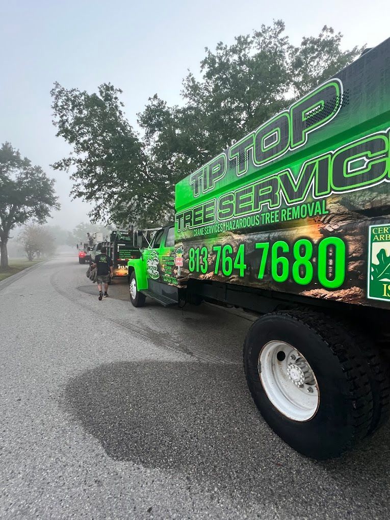 A tree service truck, green and black, on a road.