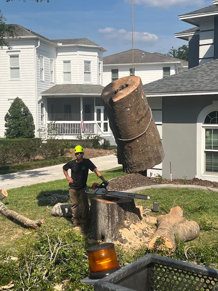 Tree service worker using chainsaw. Large tree trunk lifted by a crane near a house. Sunny day.