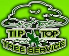Logo for Tip Top Tree Service: Green and black, with a stylized tree and arborist climbing, surrounded by the words “Tip Top Tree Service”.