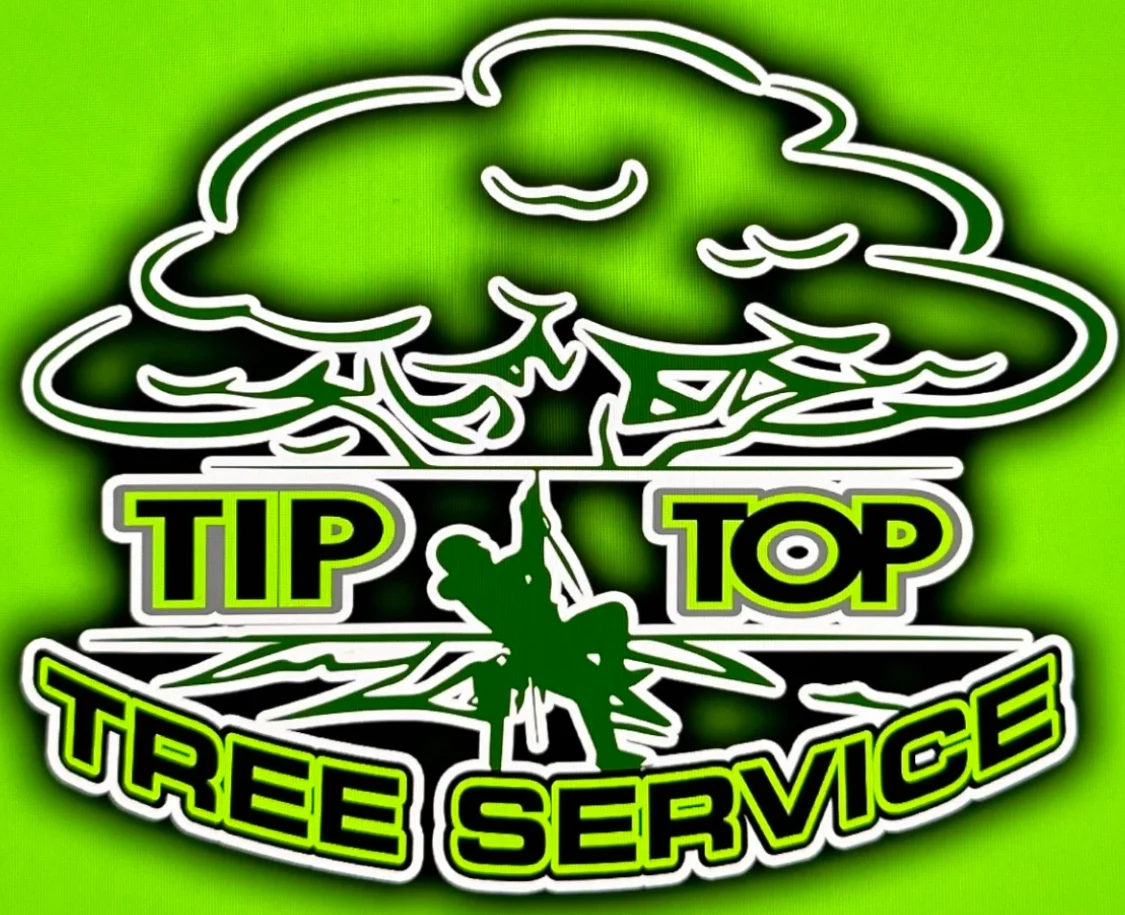 Logo for Tip Top Tree Service: Green and black, with a stylized tree and arborist climbing, surrounded by the words “Tip Top Tree Service”.