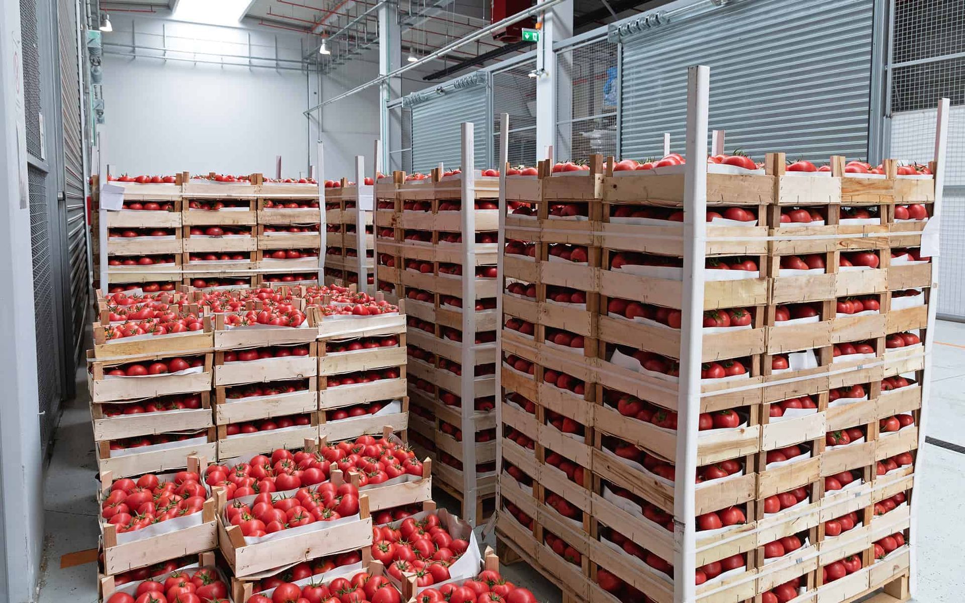 Warehouse aisle stacked with crates of red apples on pallets under bright industrial lighting