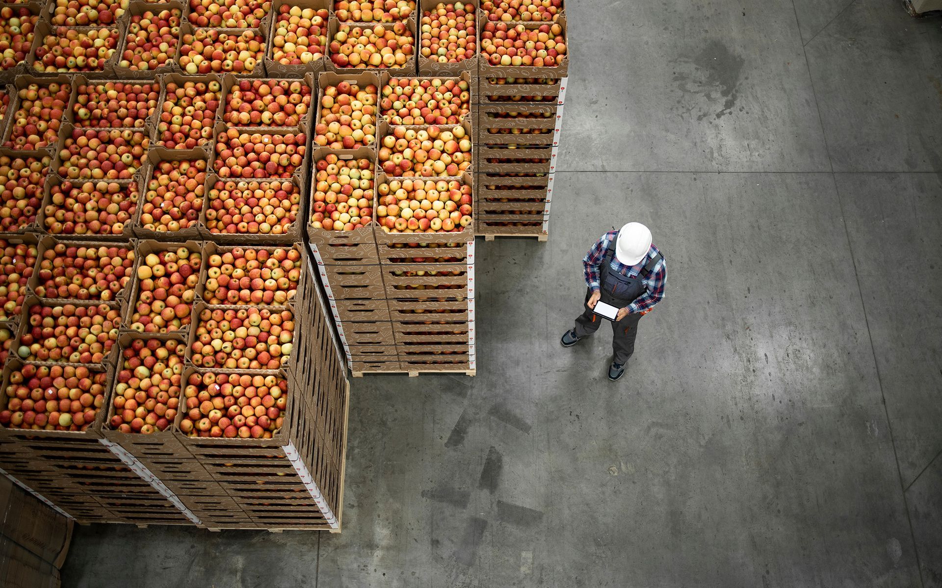 Aerial view of stacked wooden crates filled with apples and a worker walking on a warehouse floor