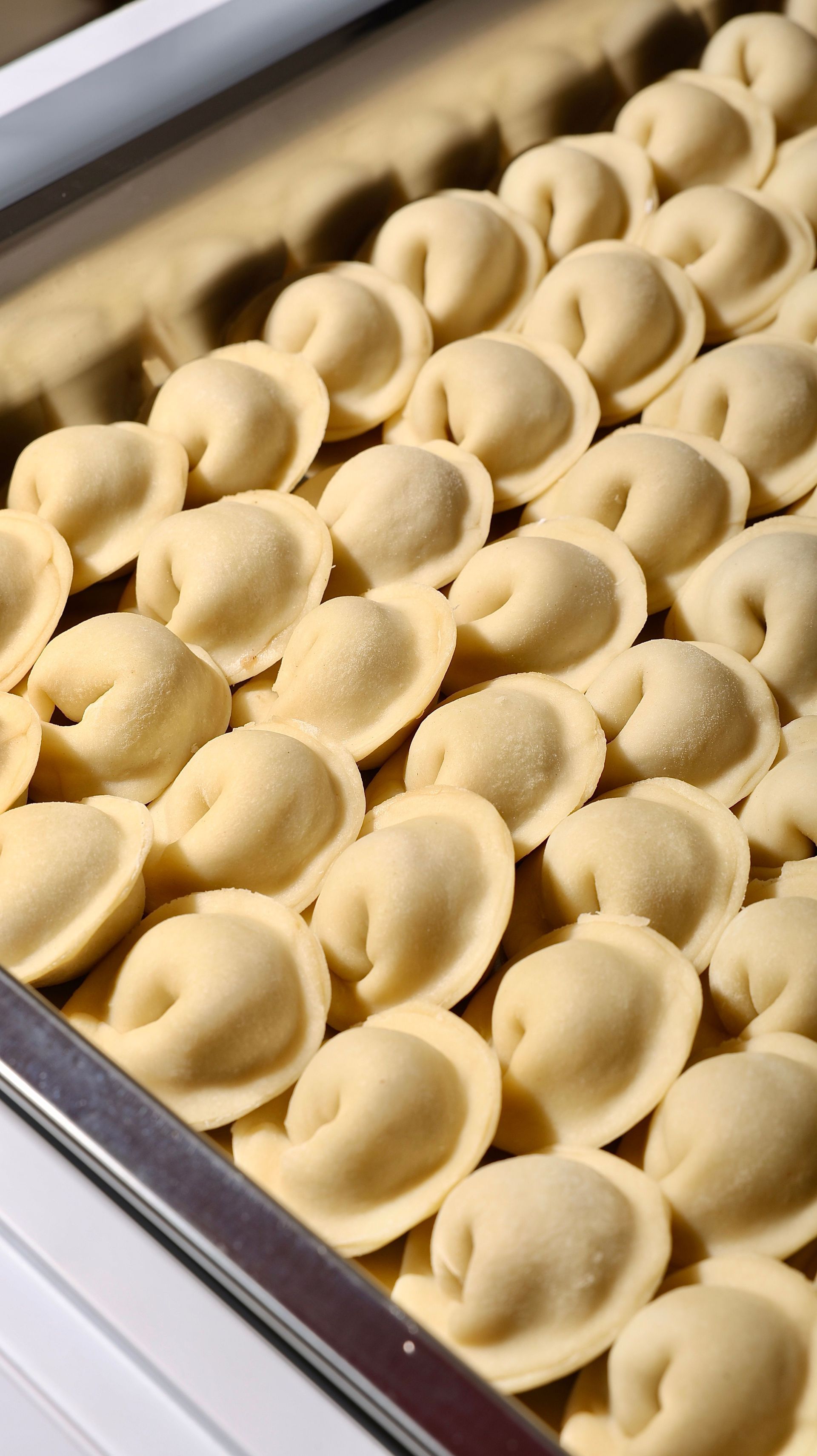 Tray of uncooked ravioli in neat rows, viewed from above