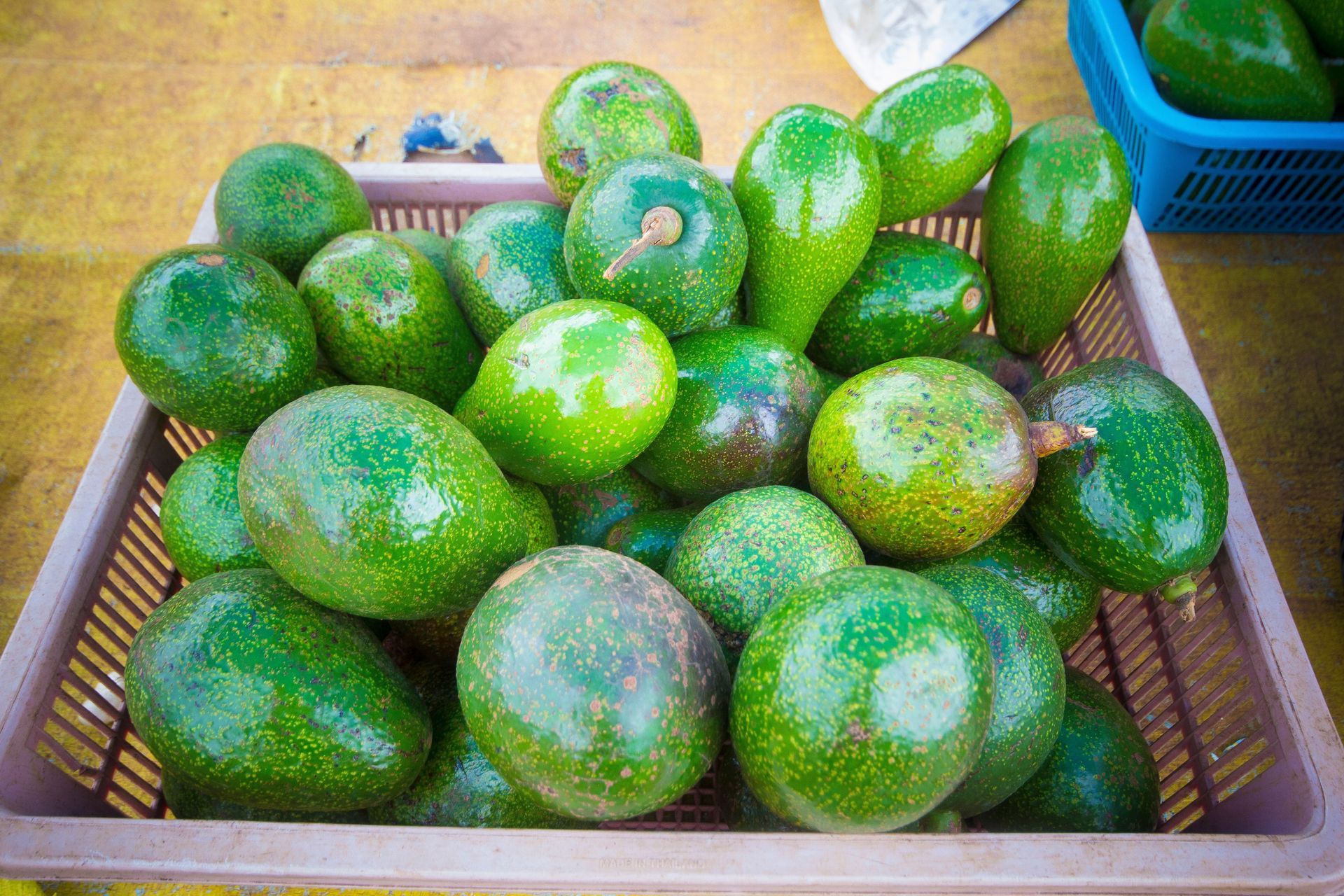Crate of green avocados at a market stall