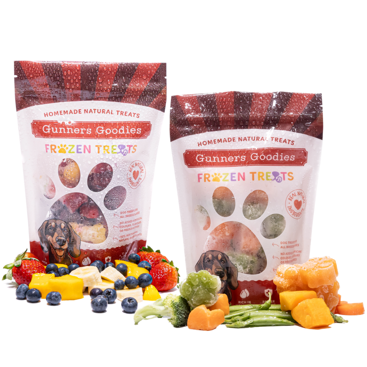 Gunners Goodies frozen fruit and vegetable dog treats in assorted flavours and shapes