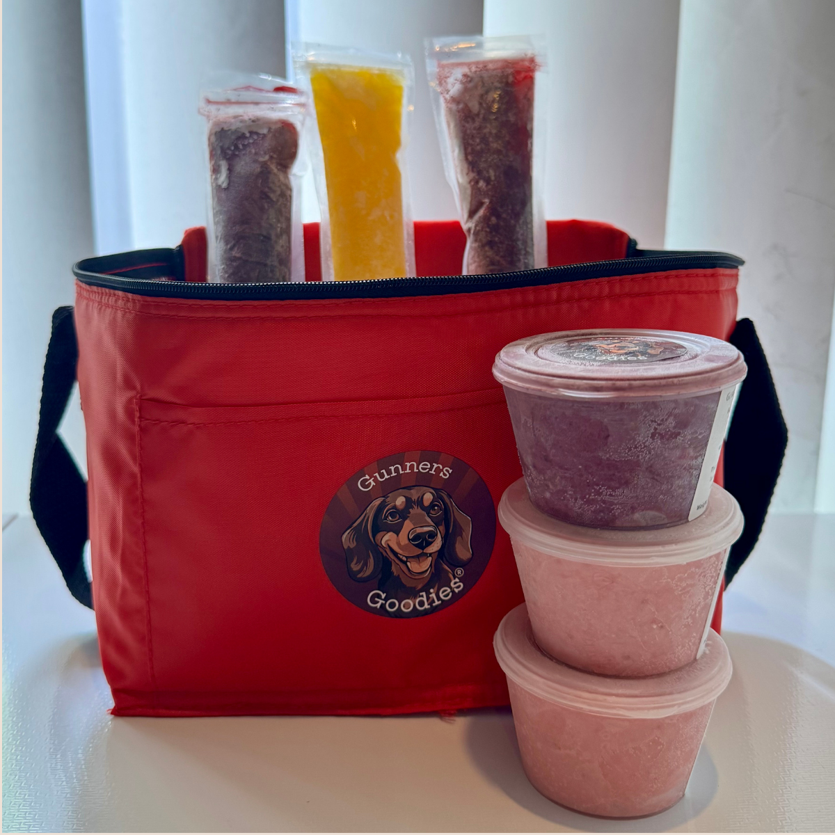 Gunners Goodies frozen dog treats and doggy ice cream in branded cool bag