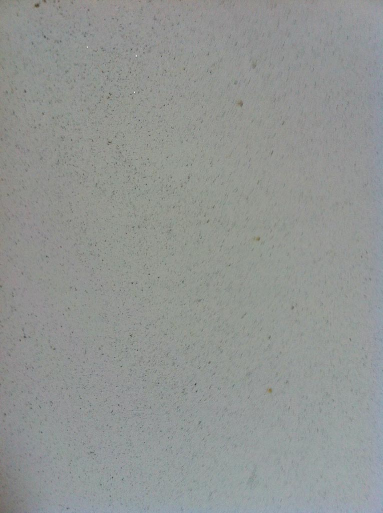 venezia stucco detail of salt and pepper botticino product