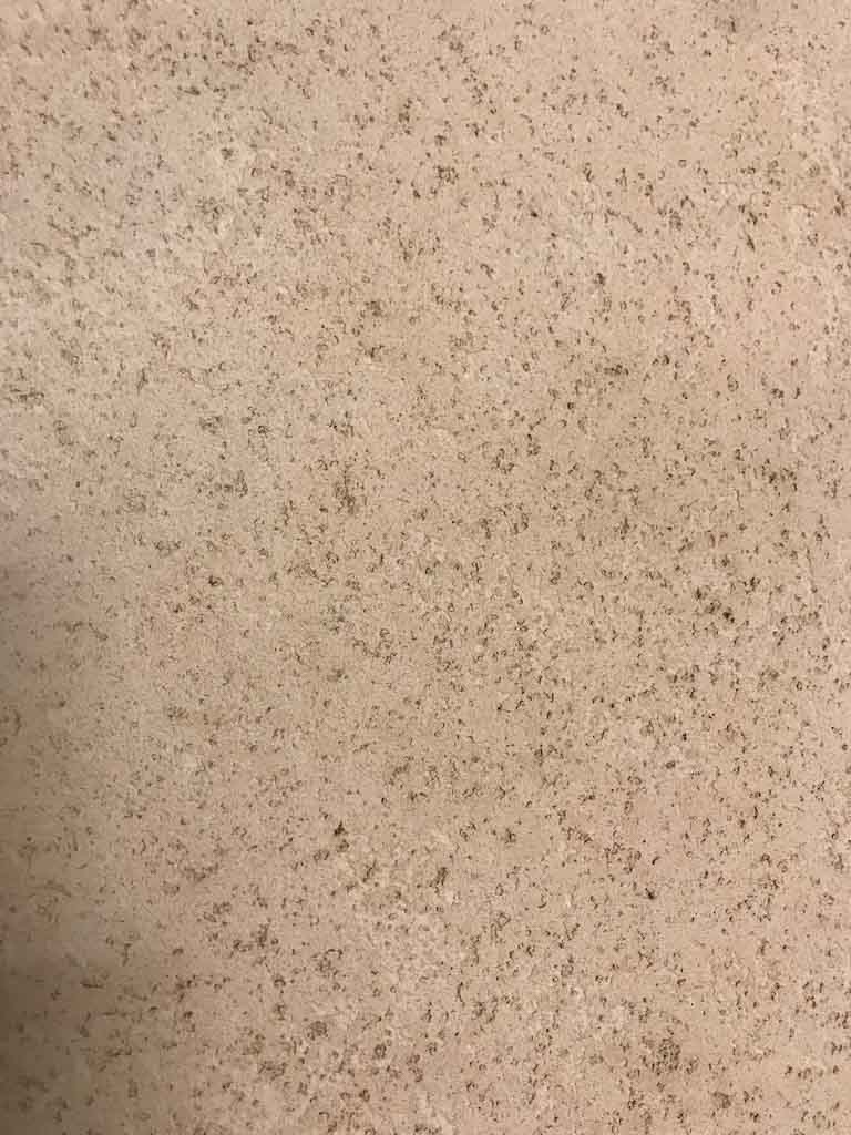 detail of venezia stucco intonachino coccio pesto product
