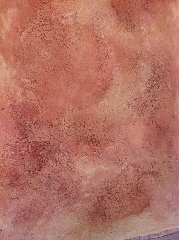 detail of venezia stucco light red lime paint product