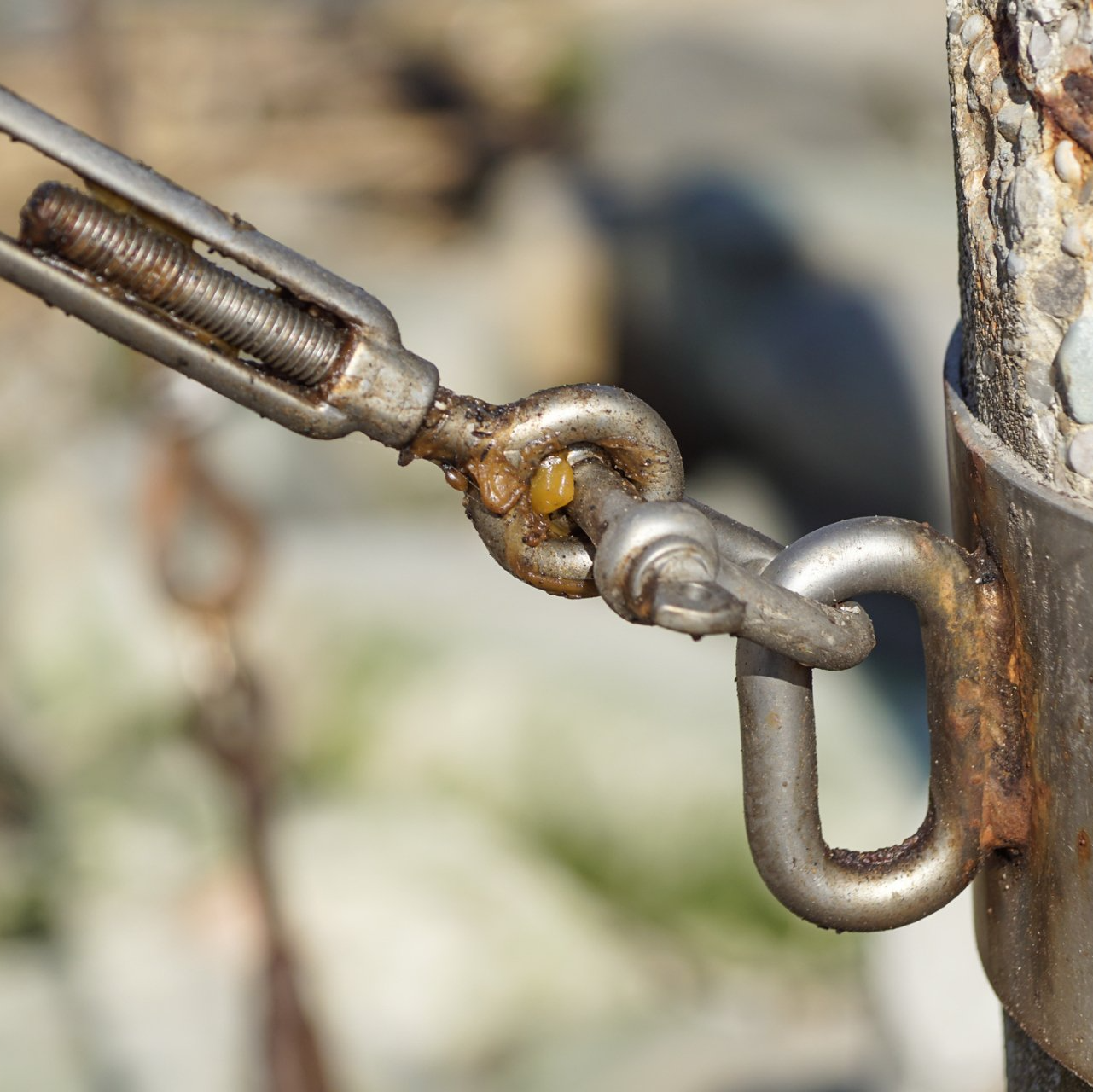 Cabling and bracing | West Point, KY | L & S Tree Service Cabling and bracing | West Point, KY | L & S Tree Service