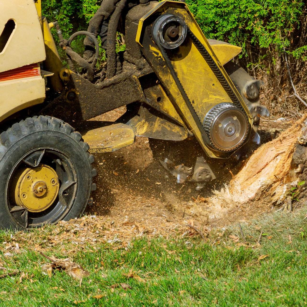 Stump grinding | West Point, KY | L & S Tree Service Stump grinding | West Point, KY | L & S Tree Service