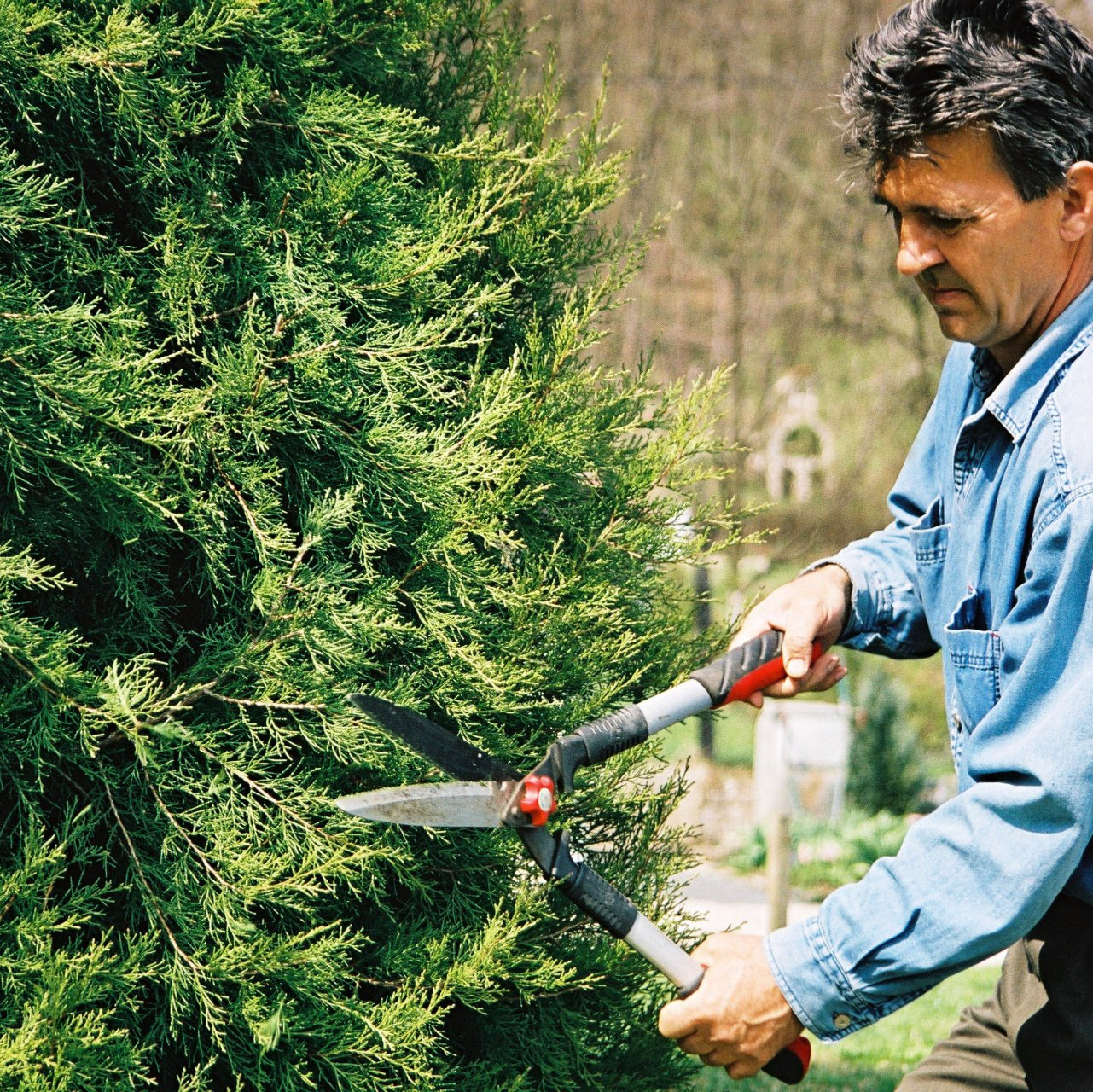 Gardener | West Point, KY | L & S Tree Service Gardener | West Point, KY | L & S Tree Service