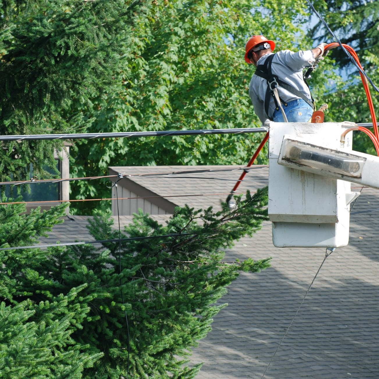Man trimming a tree | West Point, KY | L & S Tree Service Man trimming a tree | West Point, KY | L & S Tree Service
